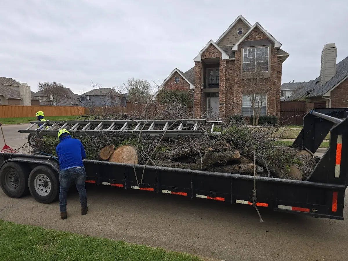 Expert Crown Reduction with proper safety equipment in Forest Park